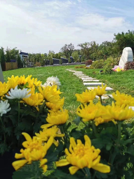 ����ɽ��Ĺ�����ȵ�