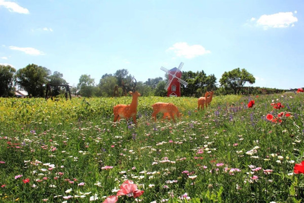 ��������